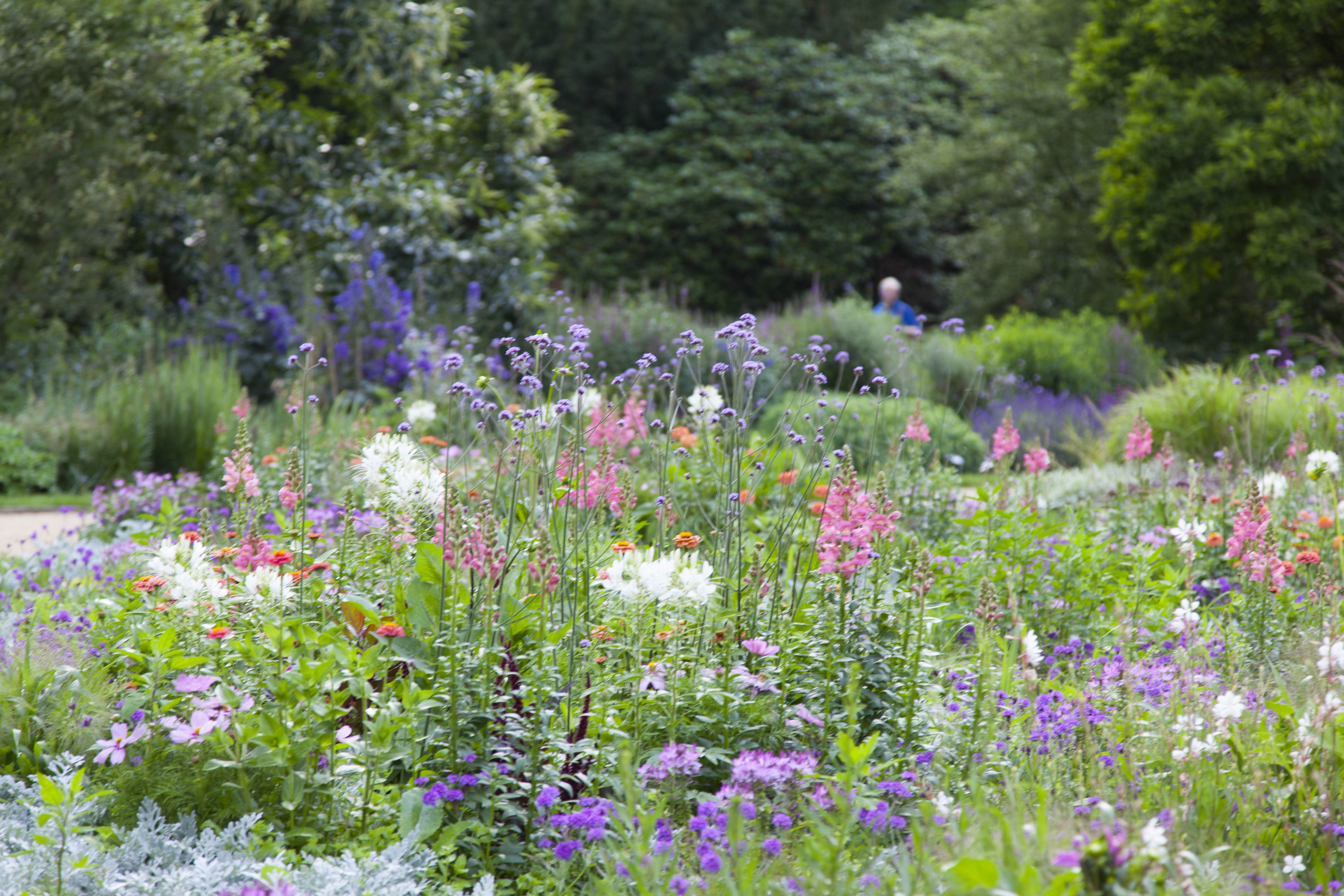 Summer in the Park