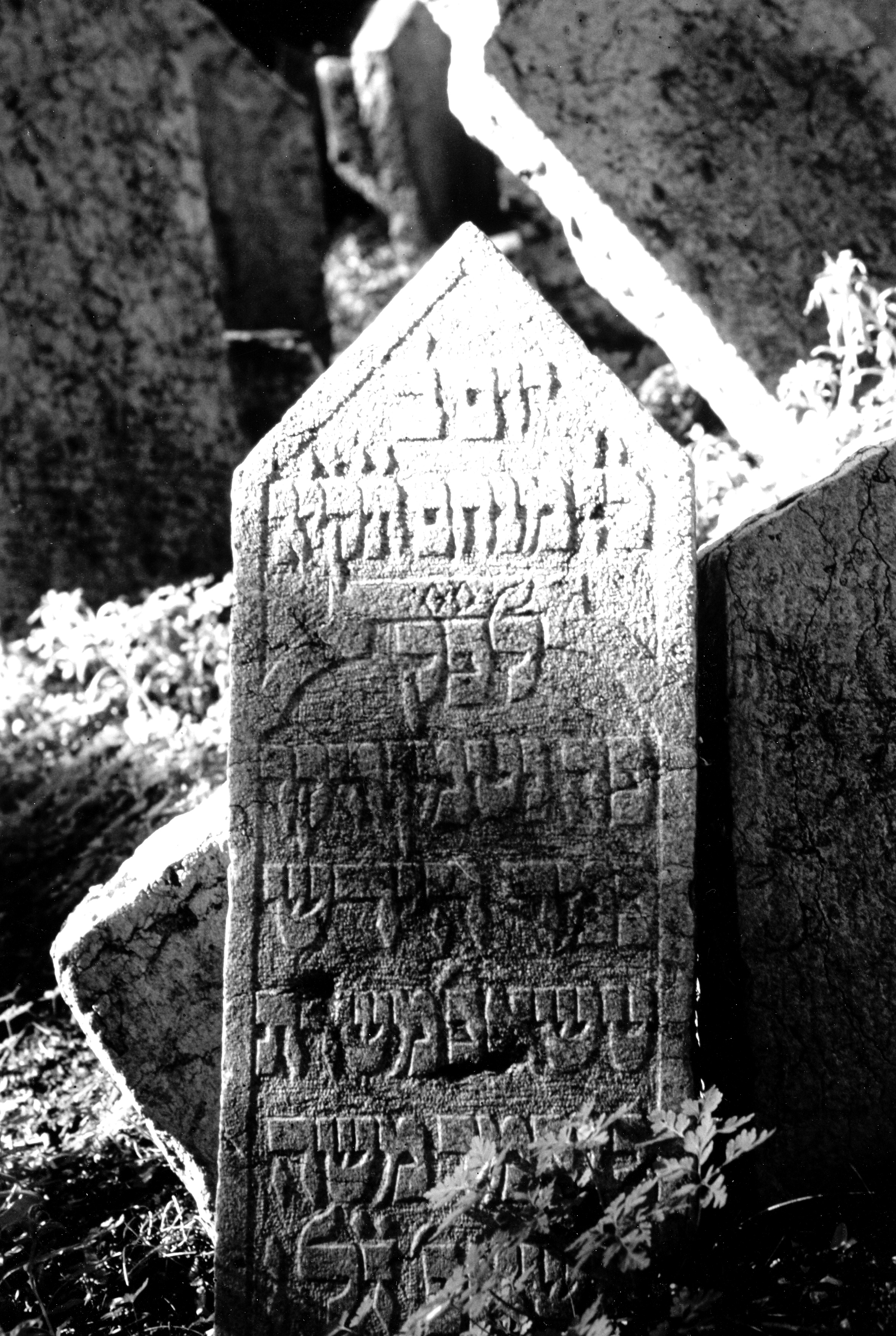 Gravestone on the Jewish Graveyard in Prague, 1984