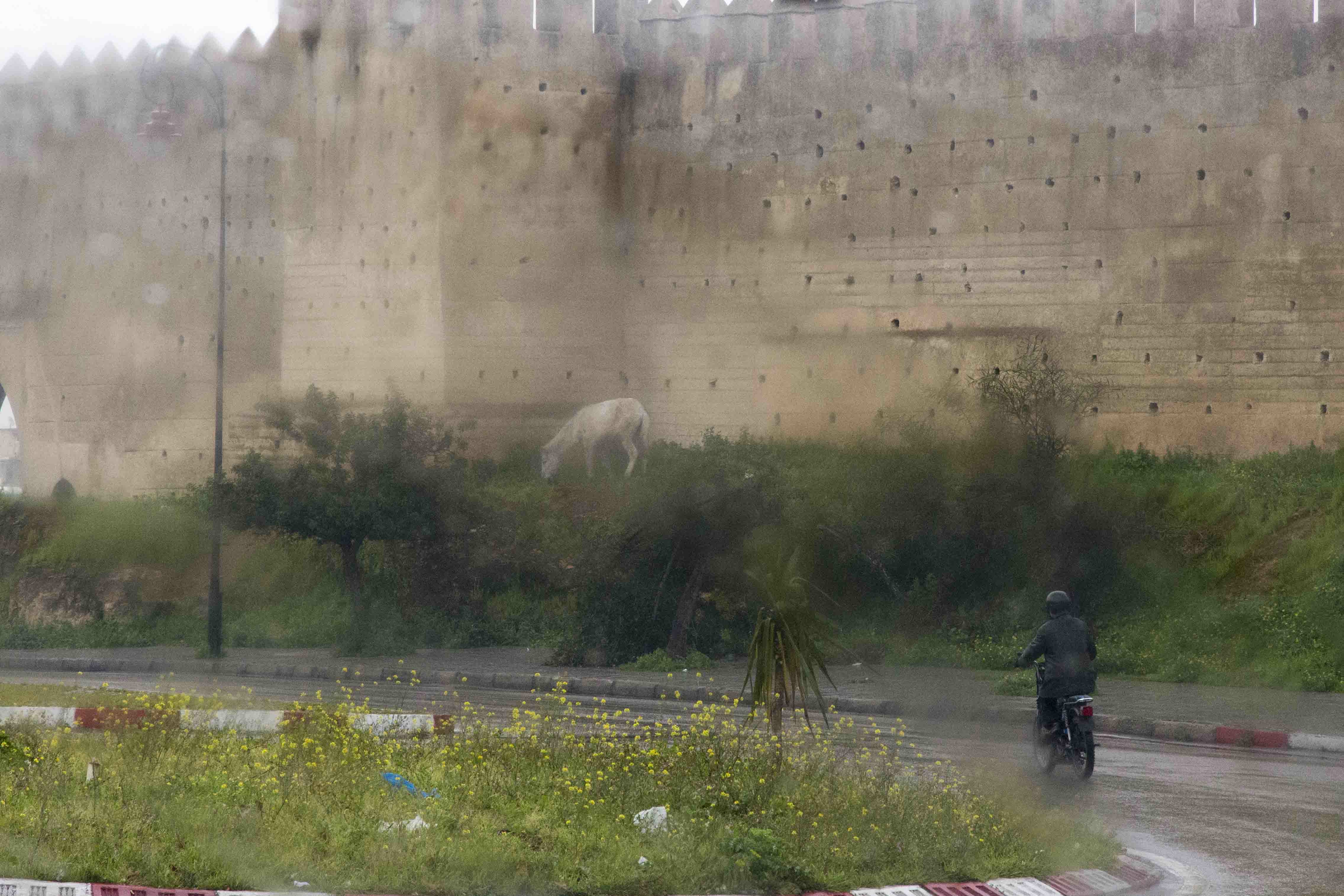 Magic Marocco: Fez City Wall