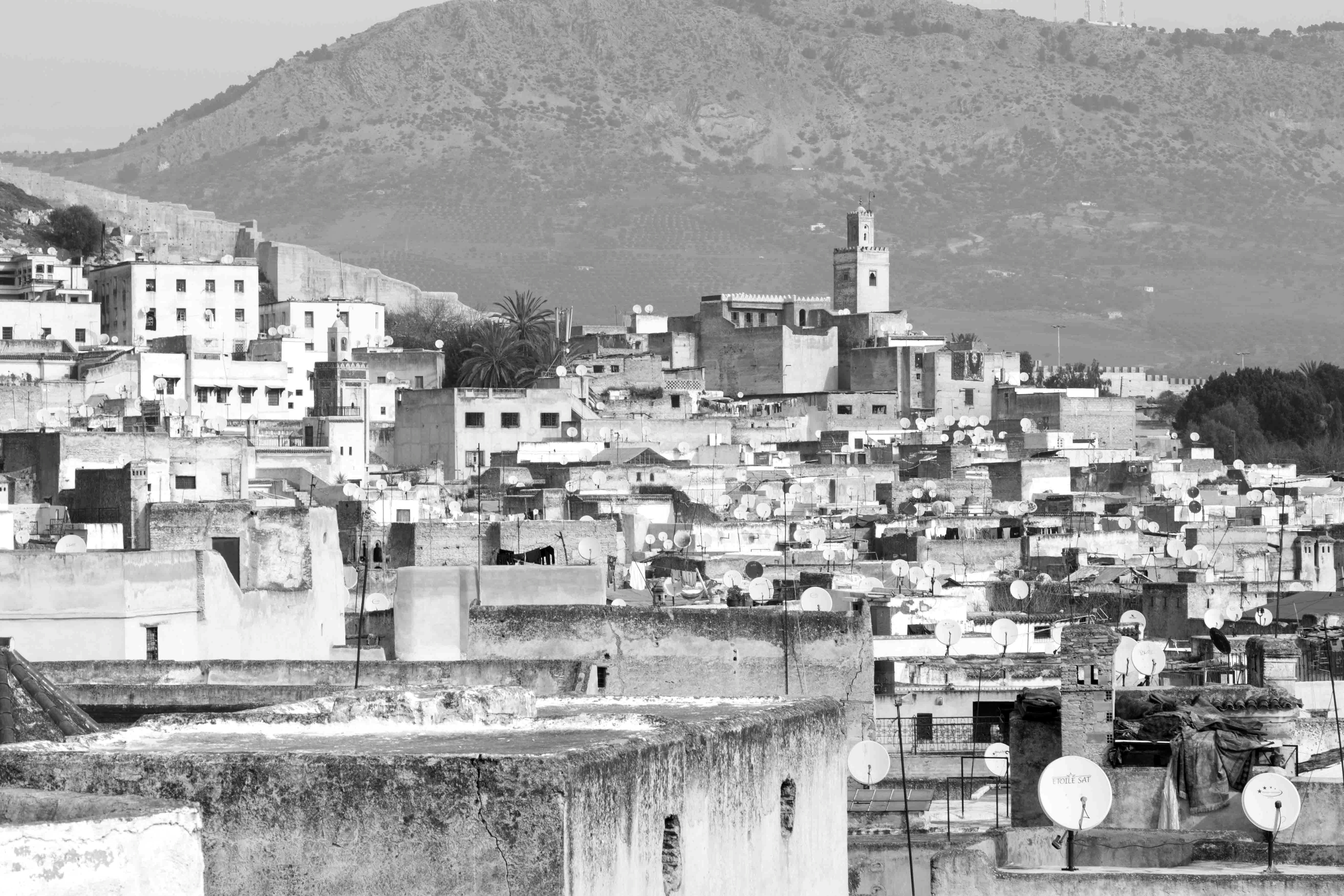 Magic Marocco: View over the Roofs of Fez Medina