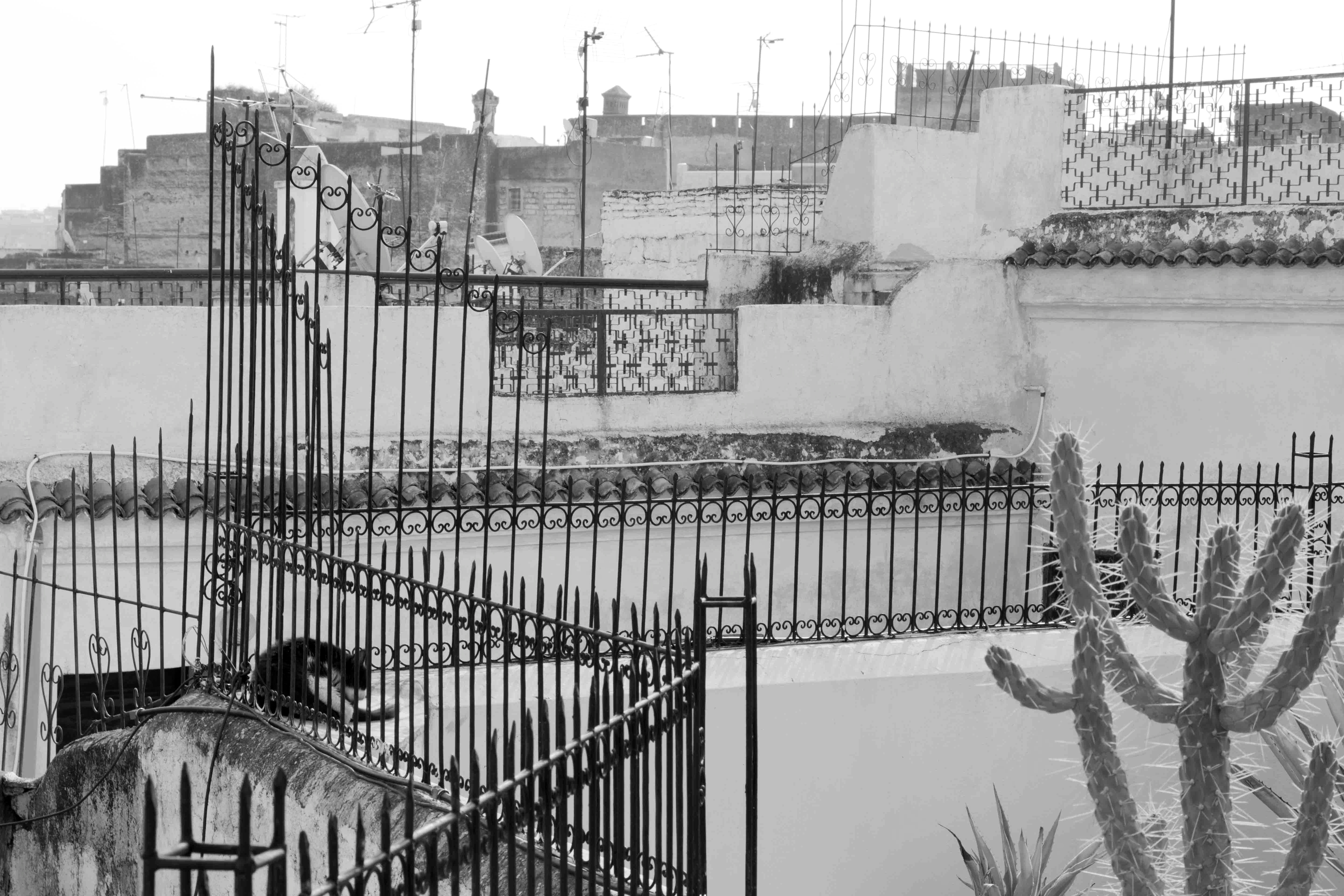 Magic Marocco: Roof Terrace in Fez Médina