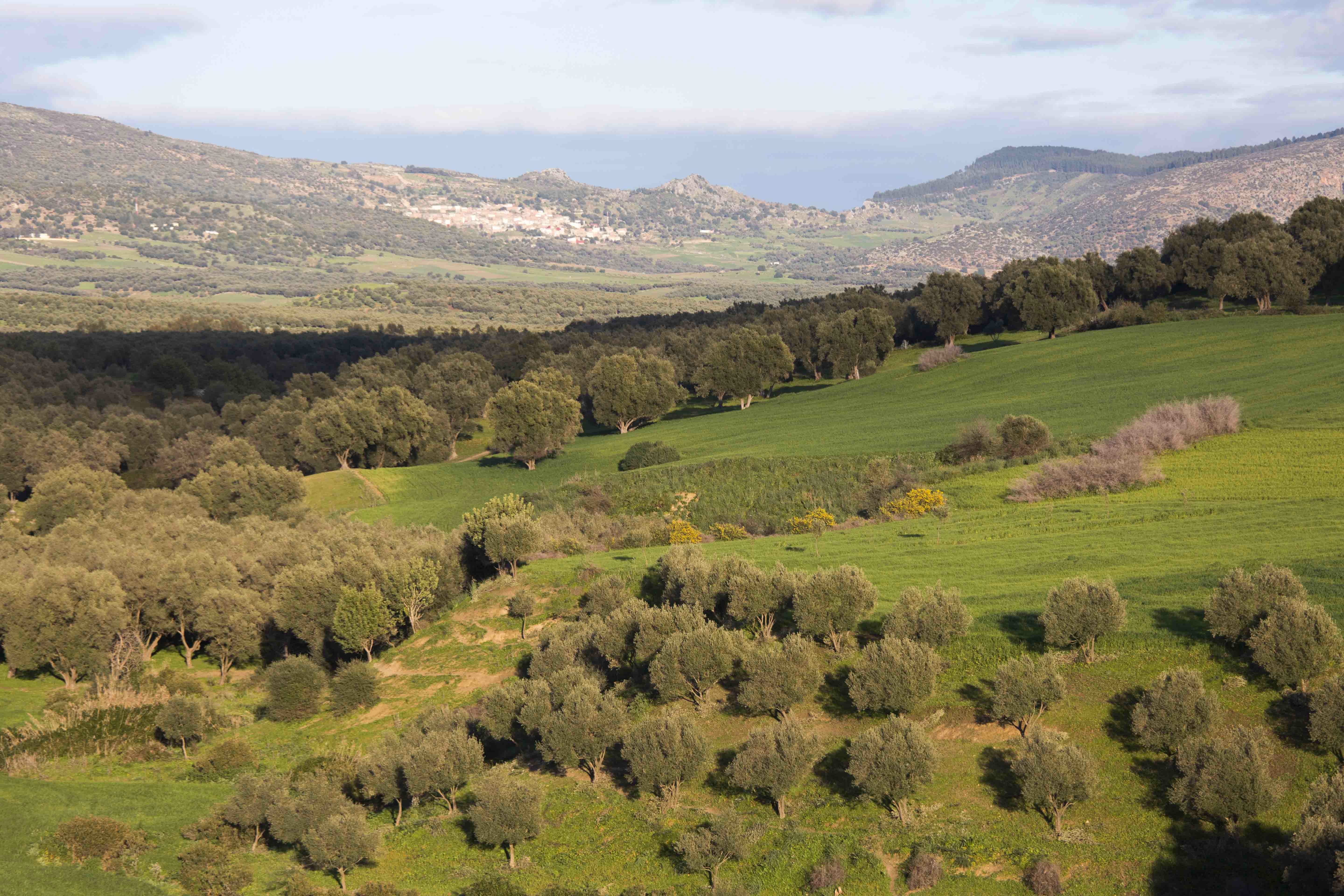 Magic Marocco: Spring in the Moyen Atlas