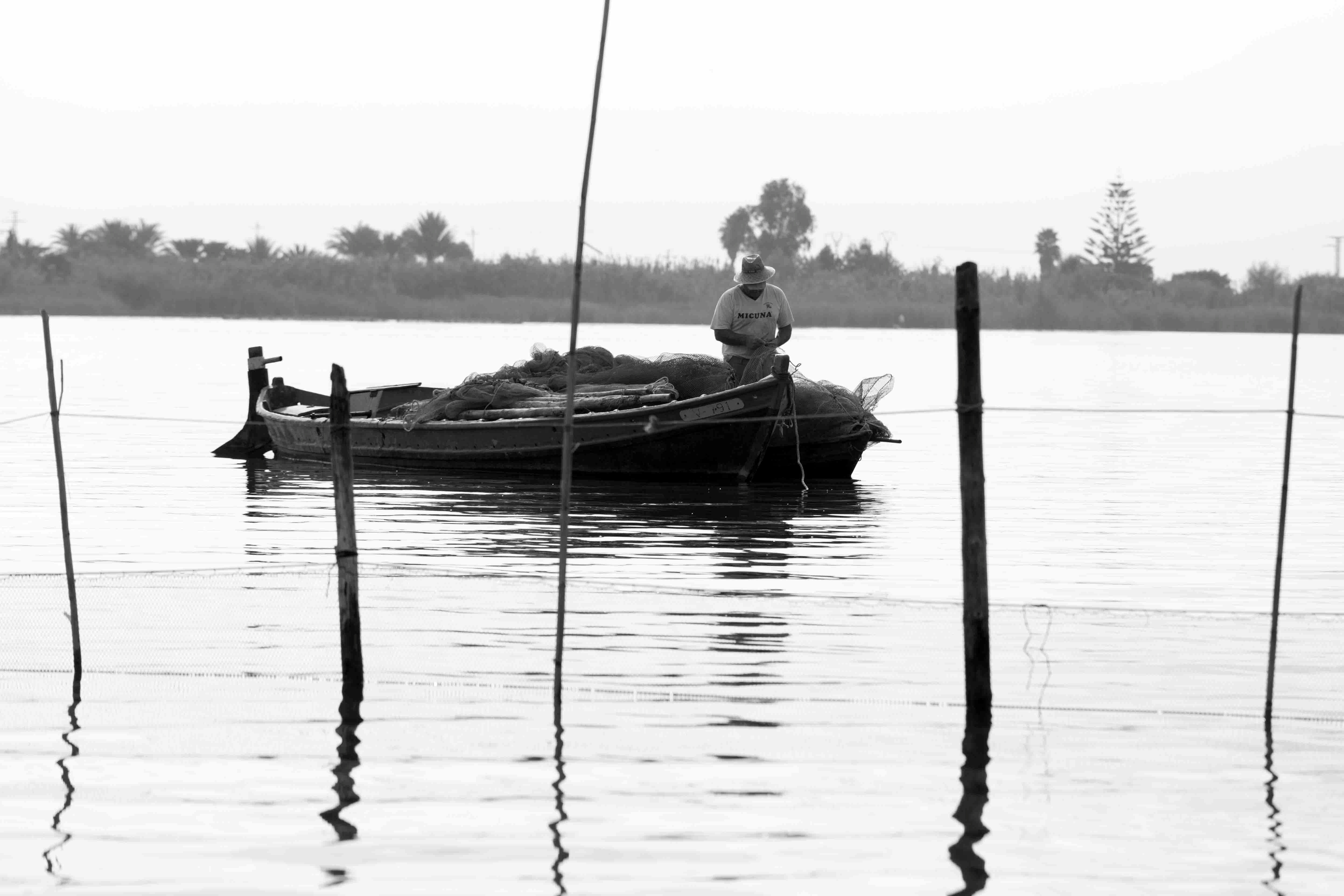 Albufera