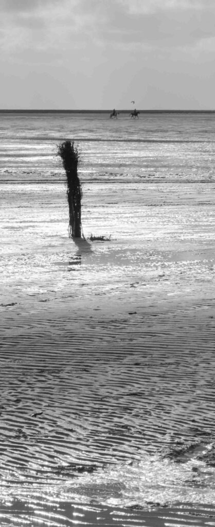 Wattenmeer in Cuxhaven, Foto: Robert B. Fishman, 21.4.2016