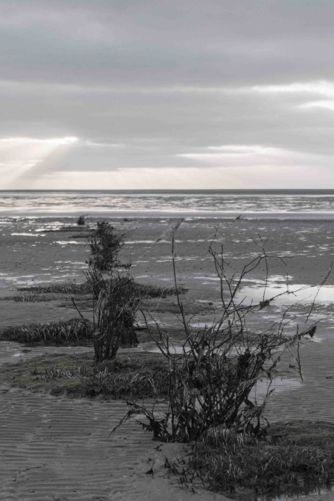 Wattenmeer in Cuxhaven, Foto: Robert B. Fishman, 21.4.2016