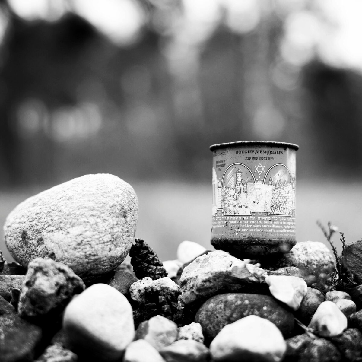 Erinnerungssterne und eine Leuchte für die Toten in der KZ-Gedenkstätte Bergen-Belsen
