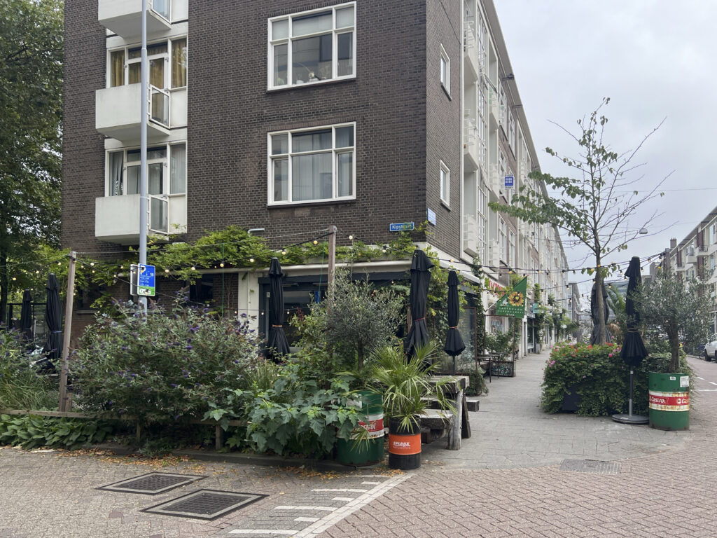 Autos raus, grün rein: Begrünung ehemaliger Parkplätze in Rotterdam kommt gut an.